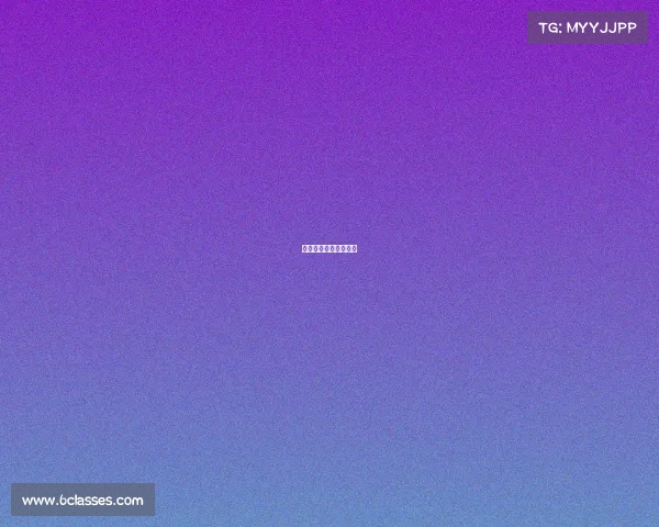 乒乓球白金赛什么意思